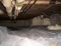 Basements & Crawlspaces